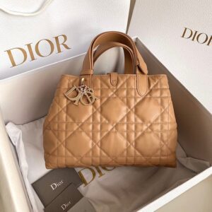 DIOR Toujours Bag