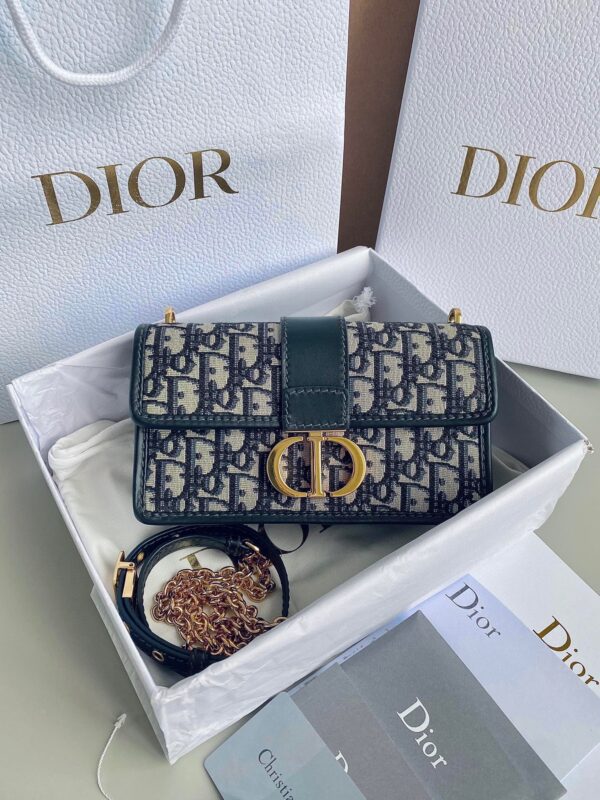 DIOR 30 Montaigne Bag