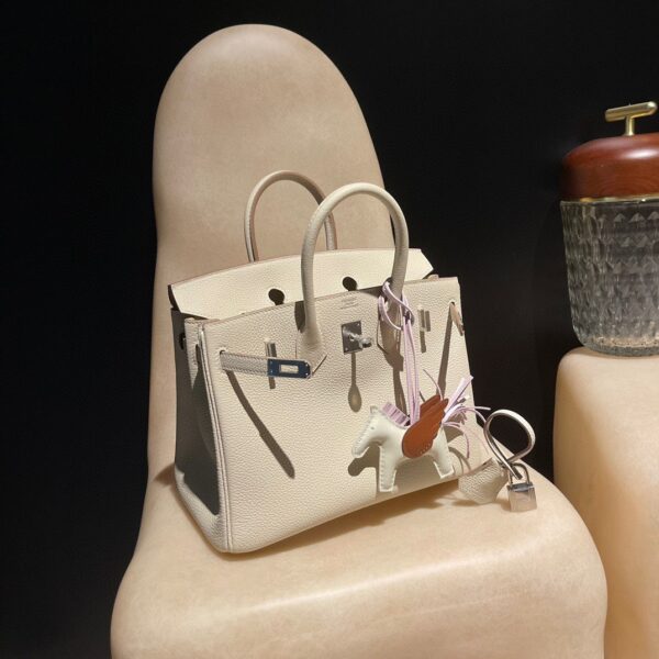 HERMES Birkin25 Color10 Togo leather