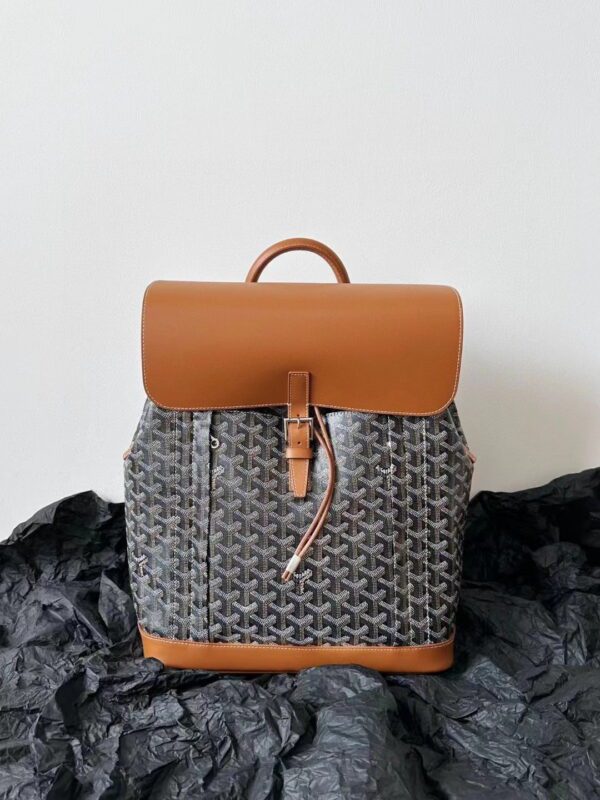 GOYARD Alpin MM Backpack