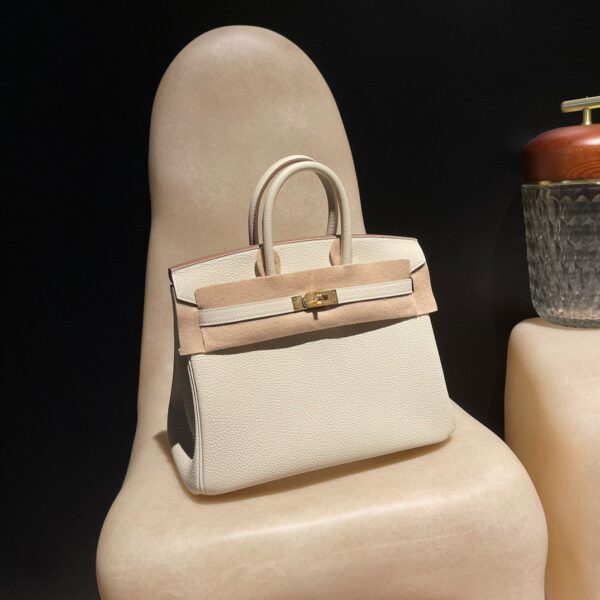 HERMES Birkin25 Color10 Togo leather