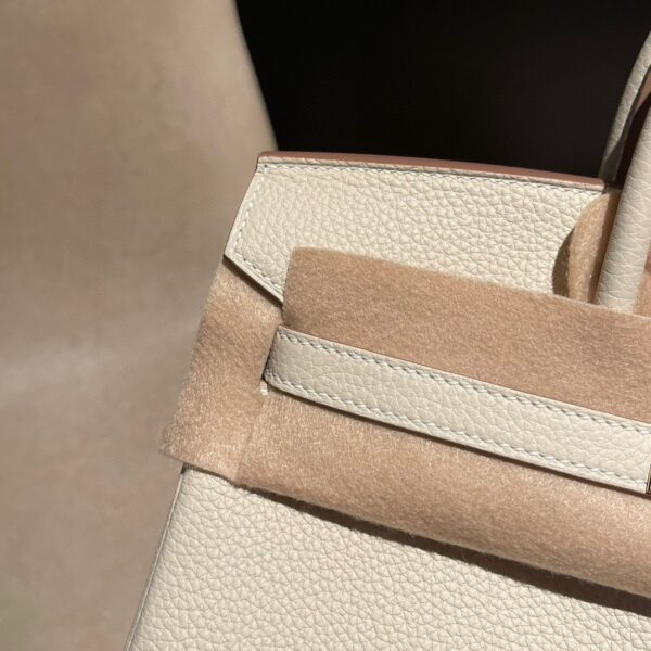 HERMES Birkin25 Color10 Togo leather