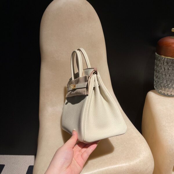 HERMES Birkin25 Color10 Togo leather