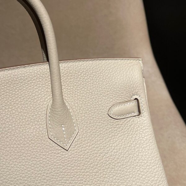 HERMES Birkin25 Color10 Togo leather