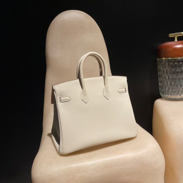 HERMES Birkin25 Color10 Togo leather