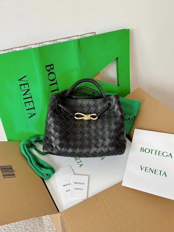 BOTTEGA VENETA Andiamo Bag