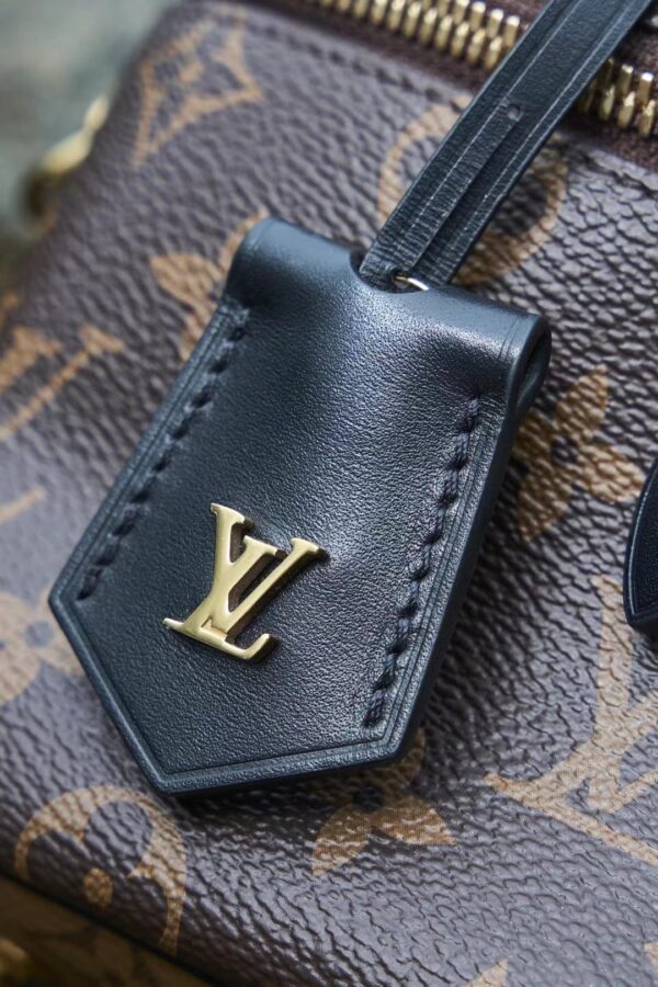 LOUIS VUITTON Vanity M45165