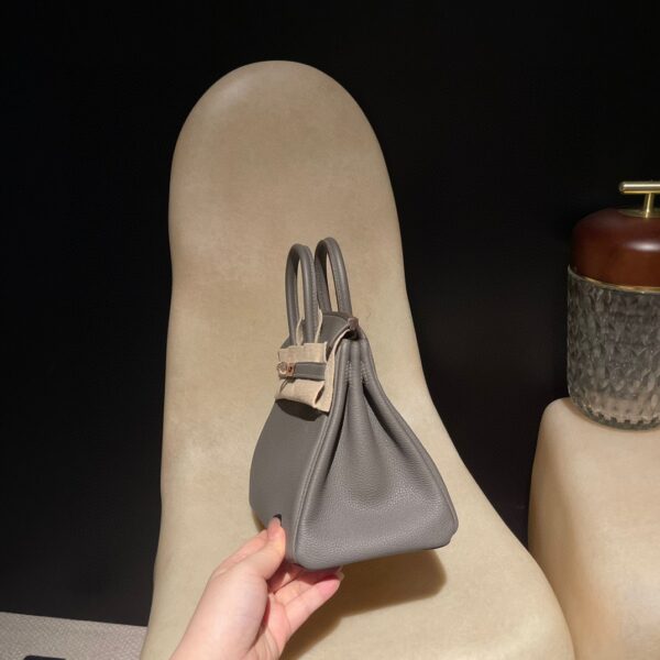 HERMES Birkin25 Color:8F Togo leather