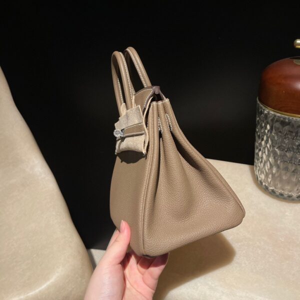 HERMES Birkin25 Color18 Togo leather