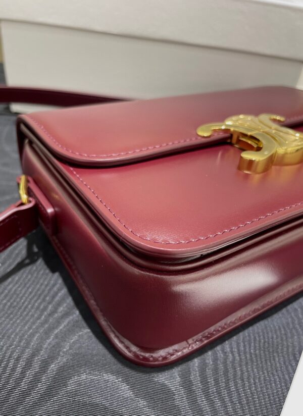 CELINE TEEN TRIOMPHE Bag