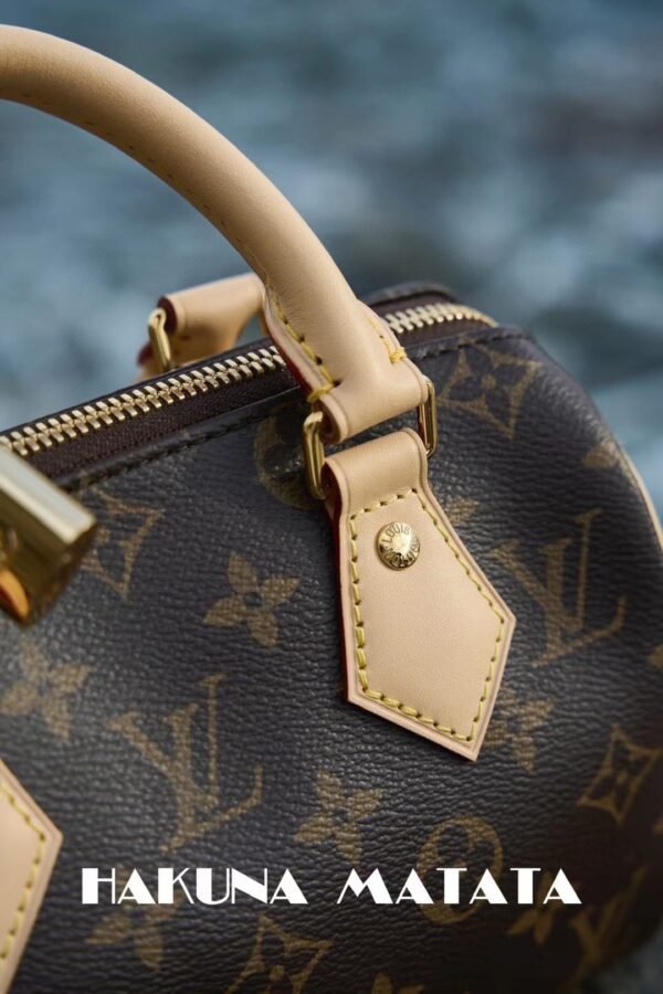 LV SPEEDY BANDOULIÈRE 20 M46234