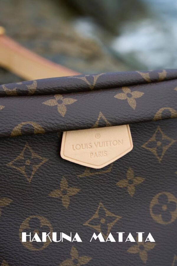 LOUIS VUITTON BUMBAG M43644