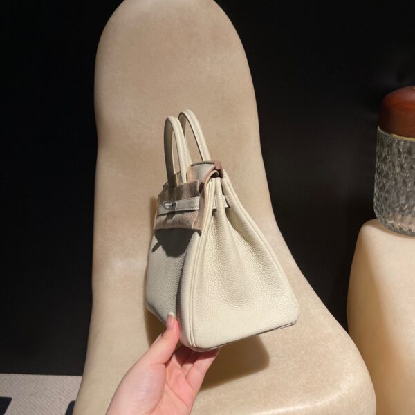 HERMES Birkin25 Color10 Togo leather