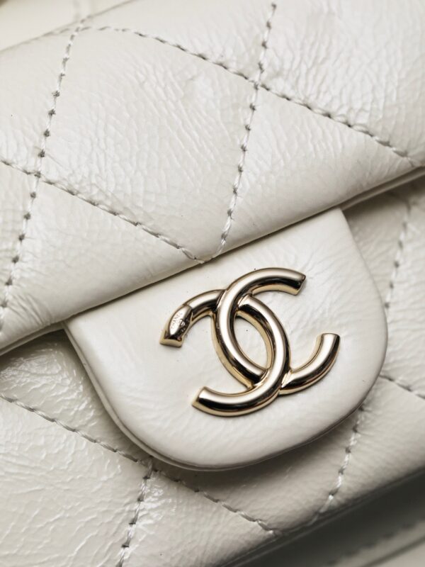 CHANEL Calfskin Duma Backpack