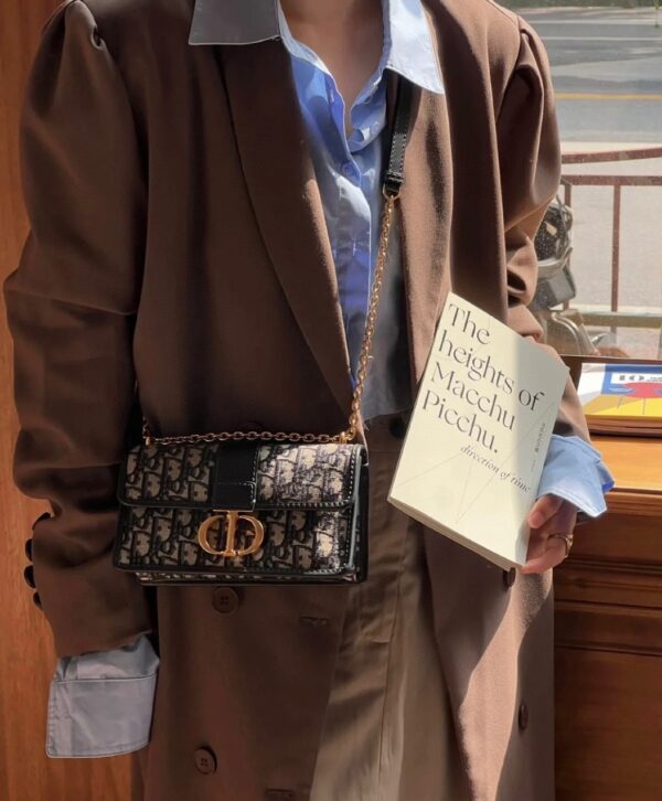 DIOR 30 Montaigne Bag