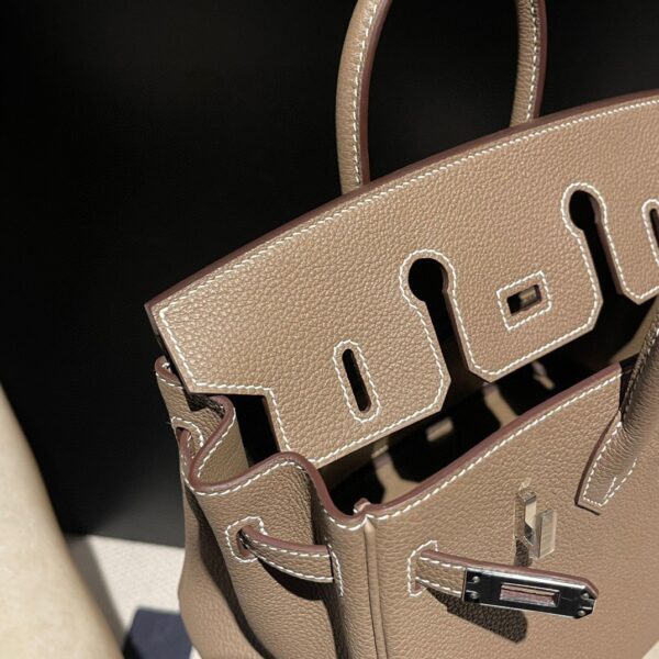 HERMES Birkin25 Color18 Togo leather