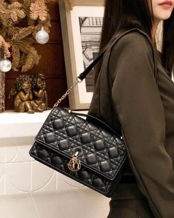 Miss Dior Top Handle Bag
