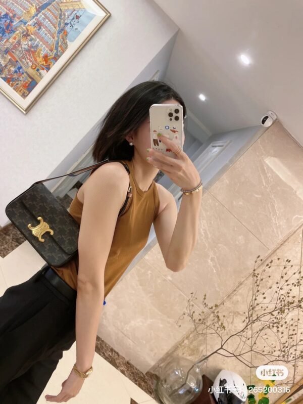 CELINE TRIOMPHE Bag