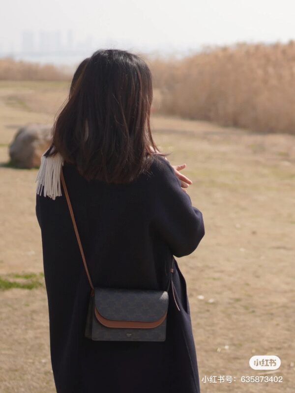 CELINE TRIOMPH CANVAS Bag