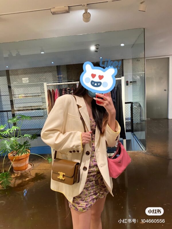 CELINE TEEN TRIOMPHE Bag