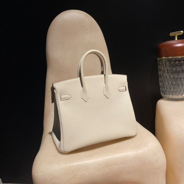 HERMES Birkin25 Color10 Togo leather