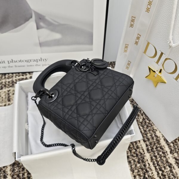 Mini Lady Dior Bag