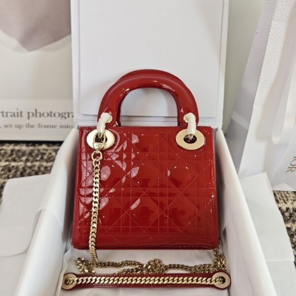 Mini Lady Dior Bag