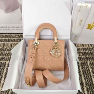 Small Lady Dior My ABCDior Bag