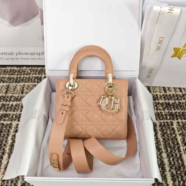 Small Lady Dior My ABCDior Bag