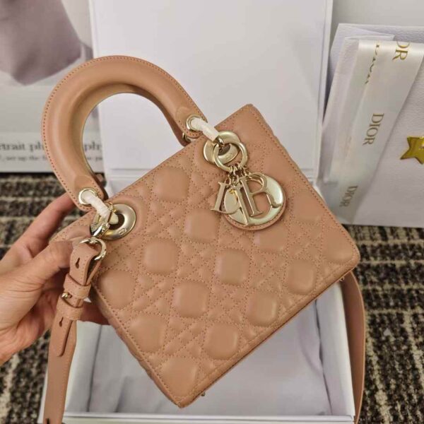 Small Lady Dior My ABCDior Bag