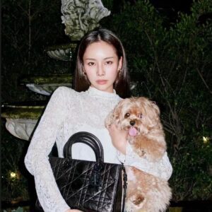 DIOR LADY D-SIRE bag medium