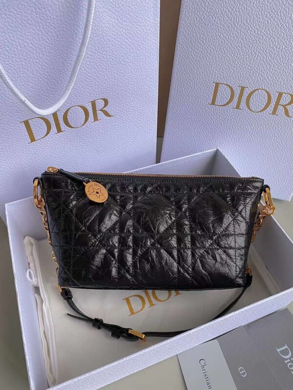 DIOR oil wax leather star bag
