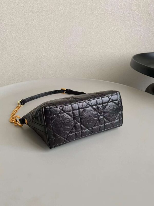 DIOR oil wax leather star bag