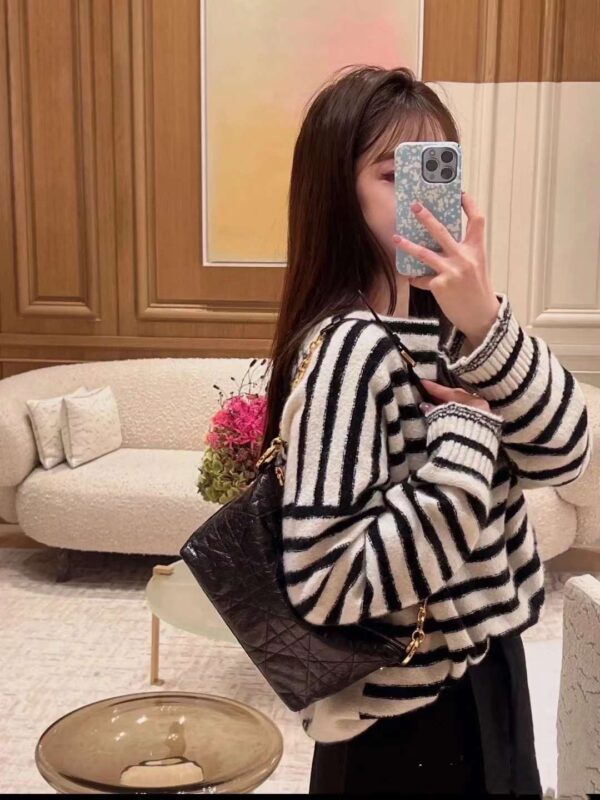 DIOR oil wax leather star bag