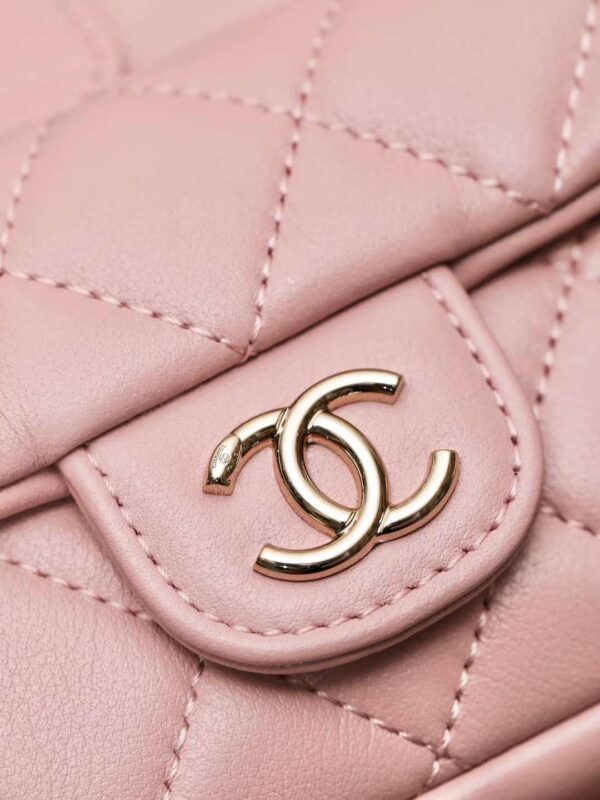 CHANEL duma backpack
