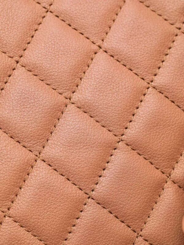 CHANEL duma backpack