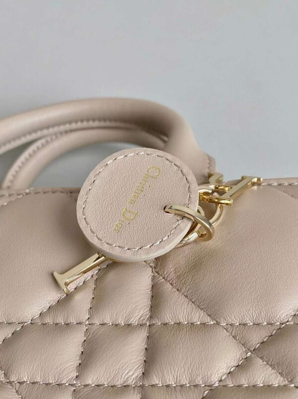 DIOR 2024 MINI BOOK TOTE BAG