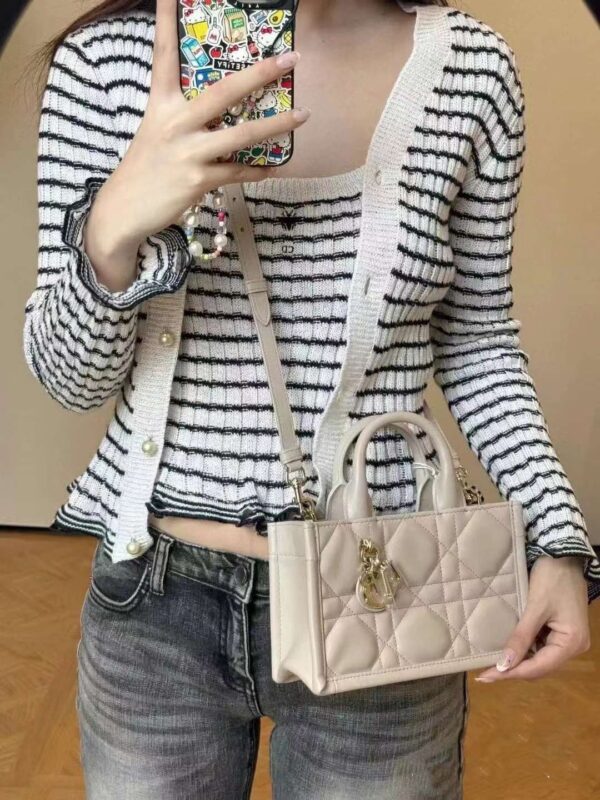 DIOR 2024 MINI BOOK TOTE BAG