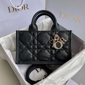 DIOR 2024 MINI BOOK TOTE BAG