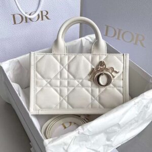 DIOR 2024 MINI BOOK TOTE BAG