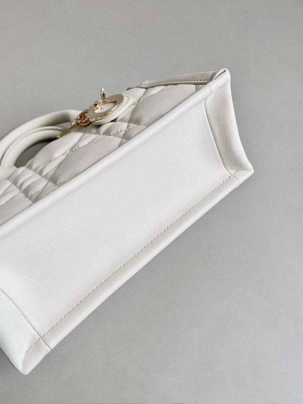 DIOR 2024 MINI BOOK TOTE BAG