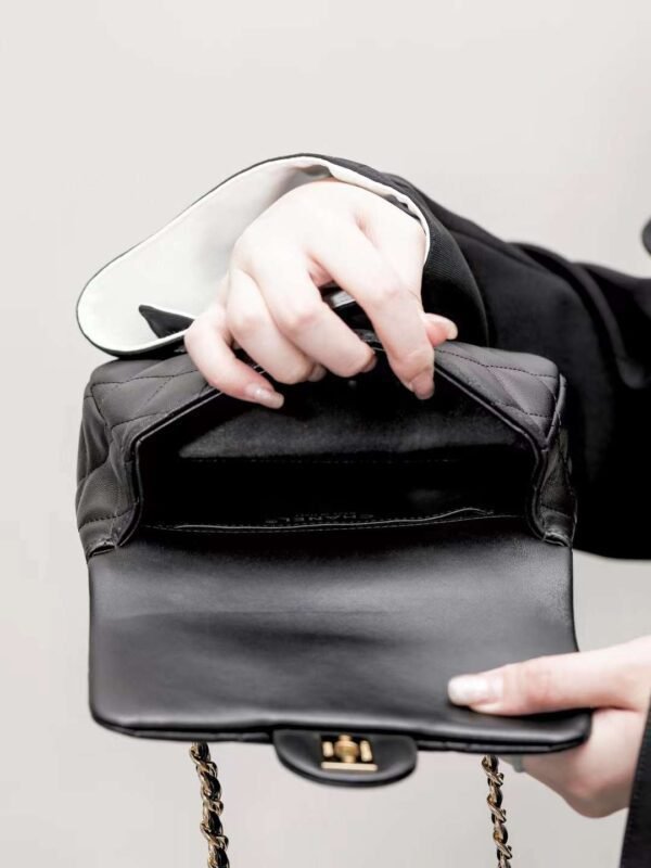 CHANEL 24S Resin wrist flap bag