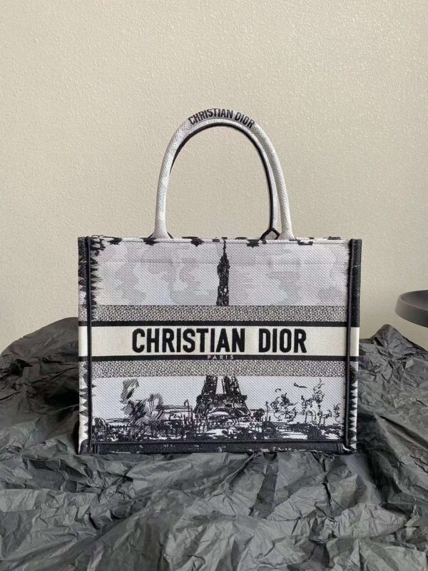 DIOR CD BOOK TOTE BAG