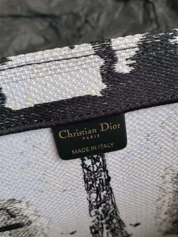 DIOR CD BOOK TOTE BAG