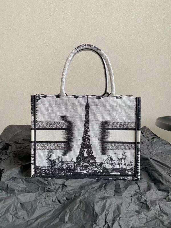 DIOR CD BOOK TOTE BAG