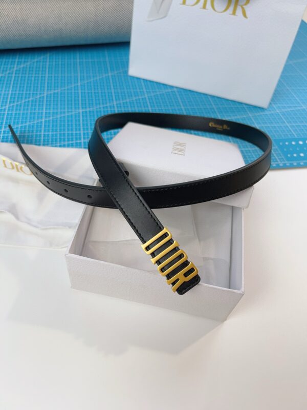 DIOR LOGO belt