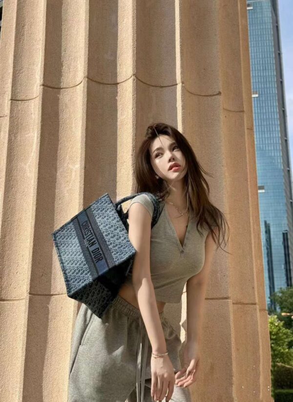 DIOR CD BOOK TOTE BAG