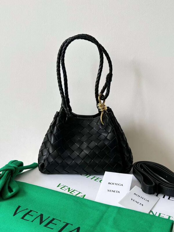 Bottega Veneta andiamo bag