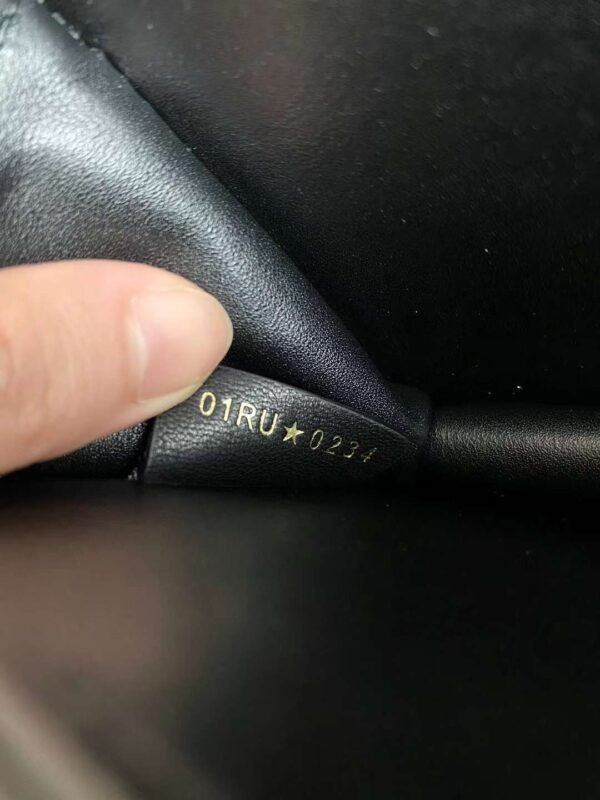DIOR MINI  ANGE BAG