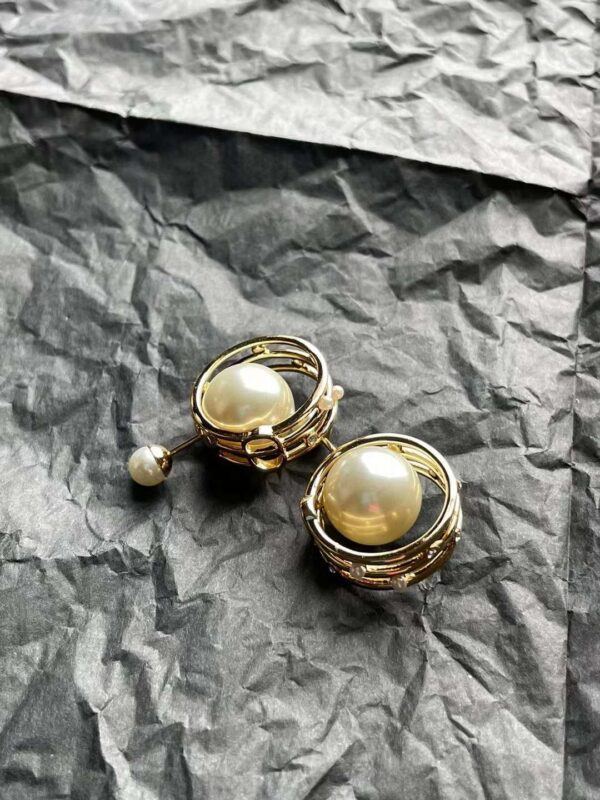 DIOR 2024 new earrings